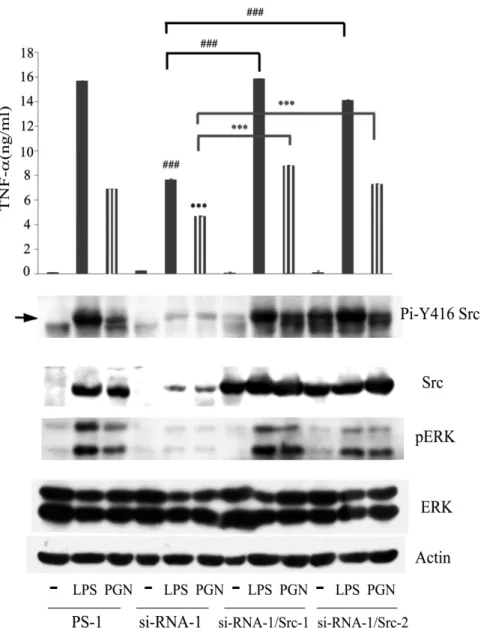 Figure 9. LPS- and PGN-mediated TNF secretion was inhibited by  src-specific siRNA, which could be reversed by ectopic Src