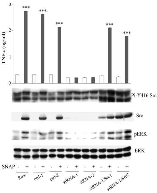 Figure 10. SNAP mediated TNF secretion was inhibited by 