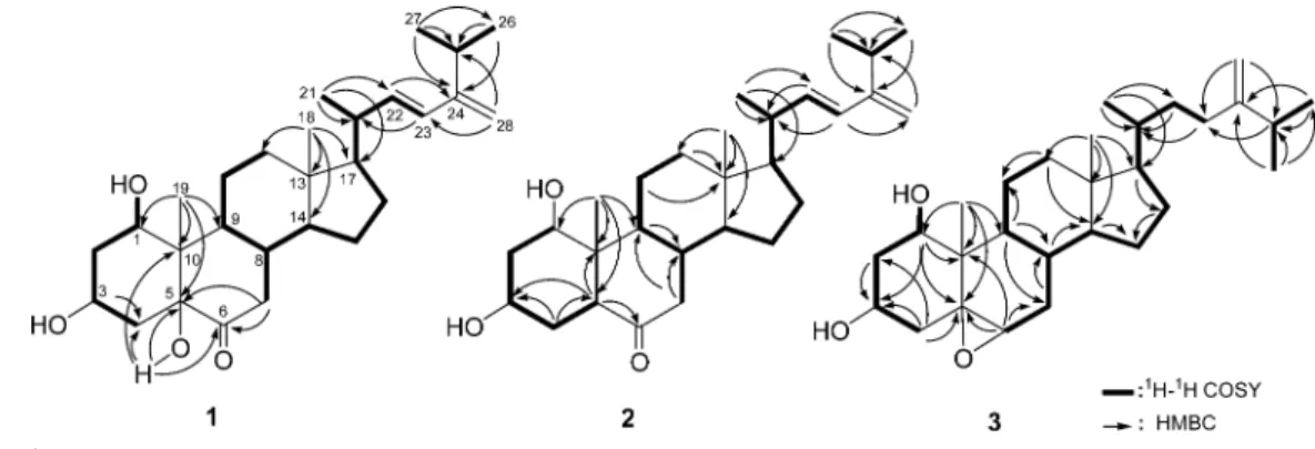 Figure 2. Key NOESY correlations for 1-3.
