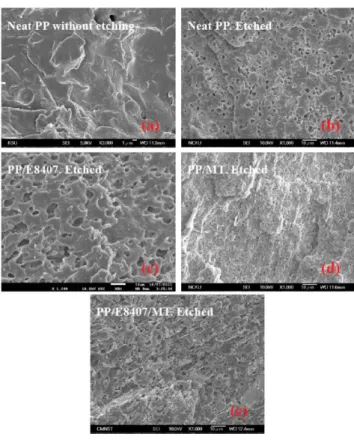 FIG. 3. Morphologies of the (a) neat PP, (b) PP etched by heptane, (c) PP/POE blend, (d) PP/MT composite,  and (e) PP/POE/MT composite
