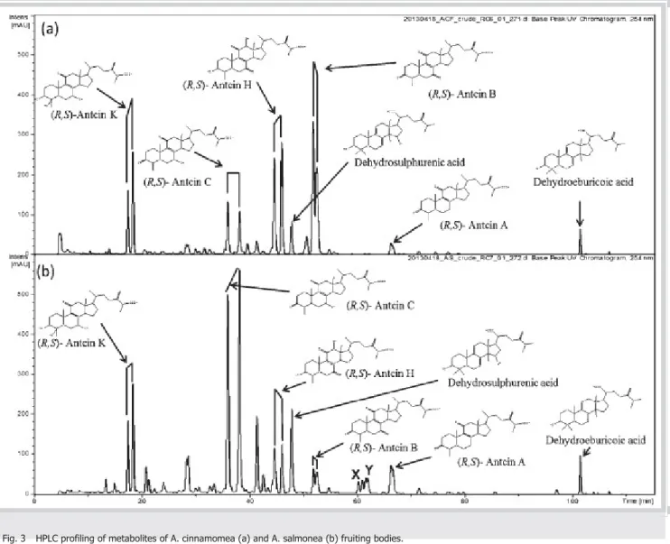 Fig. 3    HPLC profiling of metabolites of A. cinnamomea (a) and A. salmonea (b) fruiting bodies.