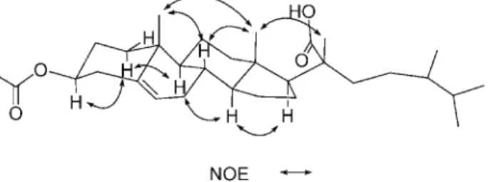 Fig. 2. Key NOESY correlations of 2.