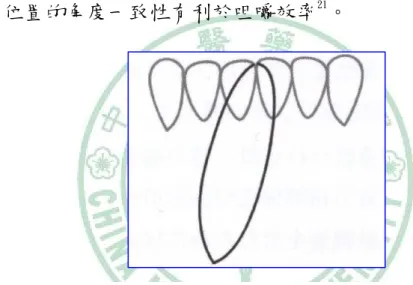 圖 2-12：正面觀呈現淚滴型的咀嚼模式
