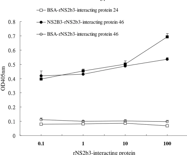 Fig. 8. 0 0.10.20.30.40.50.60.70.8 0.1 1 10 100 rNS2b3-interacting proteinOD405nmNS2B3-rNS2b3-interacting protein 24BSA-rNS2b3-interacting protein 24NS2B3-rNS2b3-interacting protein 46BSA-rNS2b3-interacting protein 46