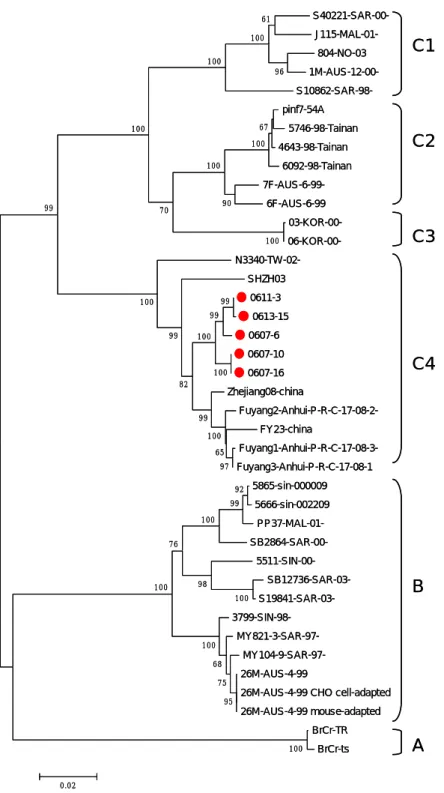Fig 1 Phylogenetic analysis of 40 EV71 strains worldwide based on  BrCr-ts strains sequence (gi60099451 nucleotide position 34-1352)
