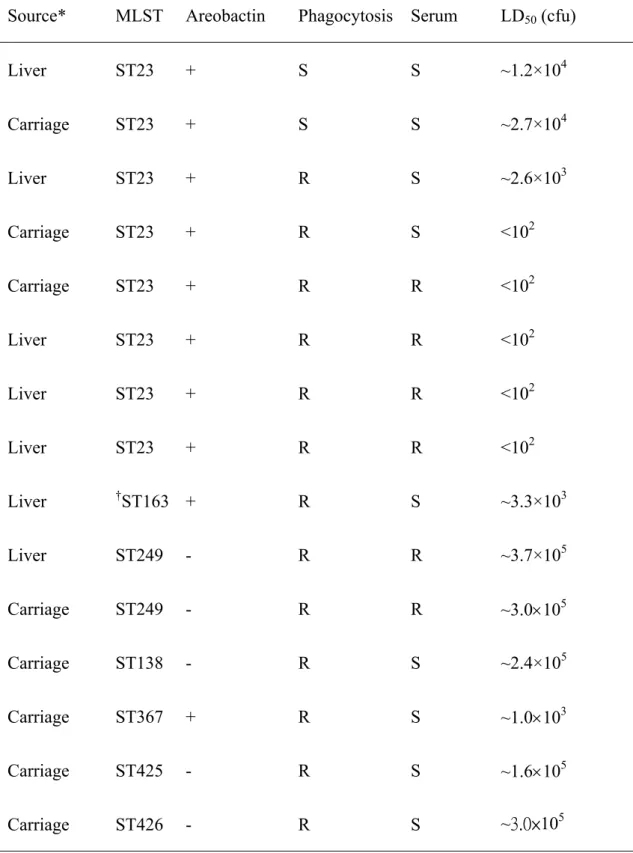 Table 4. Virulence analysis by combining results obtained from phagocytosis, serum  complement killing and mice lethality