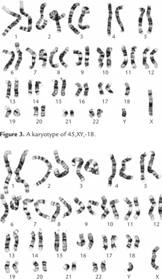 Figure 4. A karyotype of 46,XY.