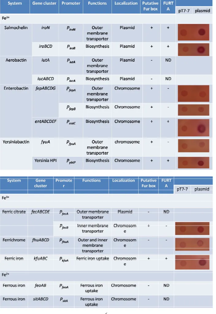 Table 2 The classification of siderophores in K. pneumoniae and the Fur binding ability via  FURTA