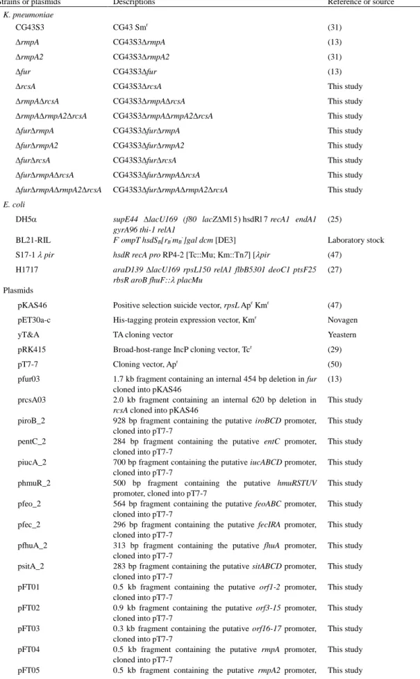 Table 1. Bacterial strains and plasmids used in this study 