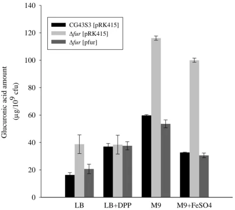 Figure 6.  Fur affects the K. pneumoniae CPS biosynthesis in a Fe(II)-dependent  manner