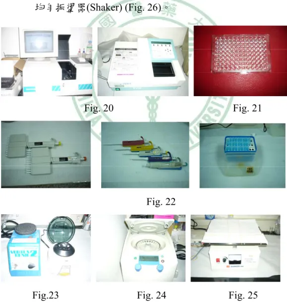 Fig. 20                                              Fig. 21 