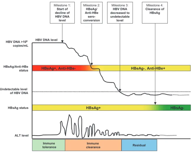 Figure 4 Natural history of chronic hepatitis B based on the Risk Evaluation of Viral Load Elevation and Associated Liver Disease/Cancer-Hepatitis B Virus (REVEAL-HBV) Study findings.