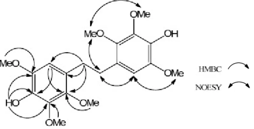 Figure 3. Key HMBC and NOESY of 2.