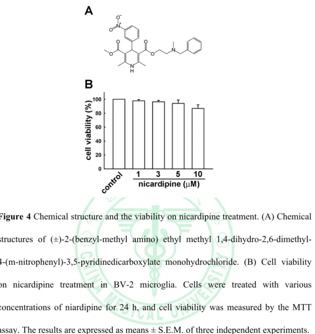 Figure 4 Chemical structure and the viability on nicardipine treatment. (A) Chemical  structures  of  (±)-2-(benzyl-methyl  amino)  ethyl  methyl  1,4-dihydro-2,6-dimethyl-  4-(m-nitrophenyl)-3,5-pyridinedicarboxylate  monohydrochloride