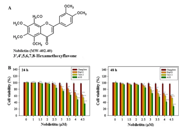 Fig. 1 The effects of nobiletin on the viability in four cell lines, Chang liver, HepG2, Caco-2, and AGS cells