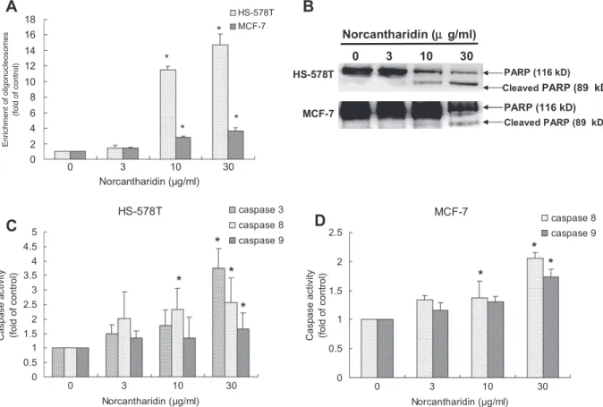 Fig. 3. Induction of apoptosis of BCa cell lines by norcantharidin. HS-578T and MCF-7 BCa cell lines were treated with norcantharidin at indicated concentrations for 24 h.
