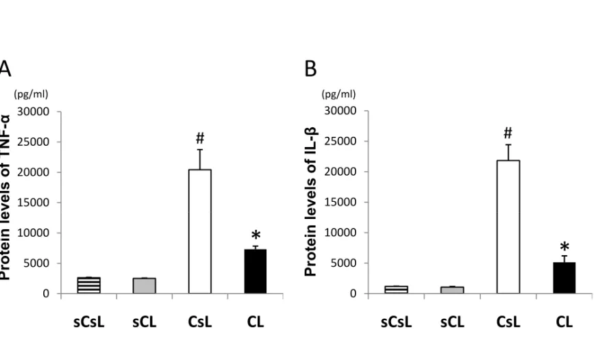 Figure 4. Results of TNF-α and IL-1β protein levels in the sciatic nerve.
