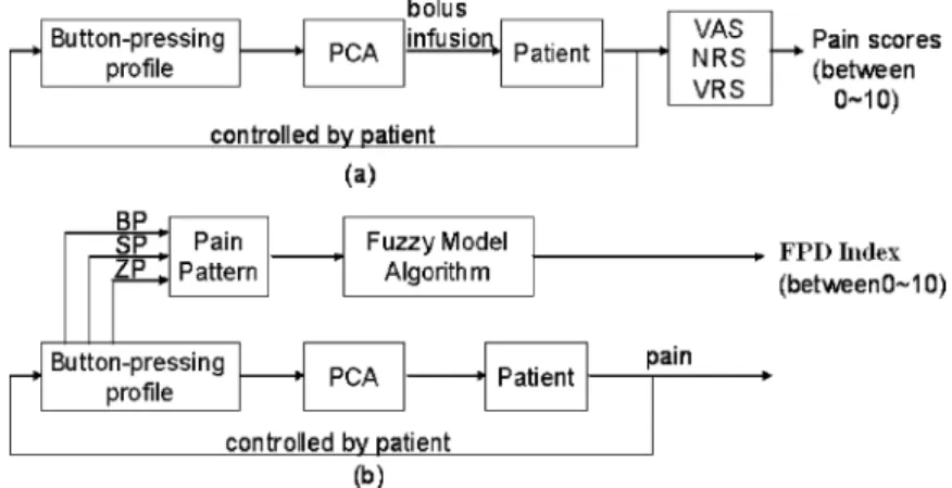 Fig. 2. Block diagram modeling the proposed pain system to interpret the pain measurement: (a) Conventional PCA system; (b) PCA+FPD system.