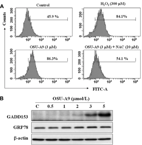Figure 5 Reactive oxygen species and endoplasmic reticulum (ER) stress analysis in SCC2095 cells
