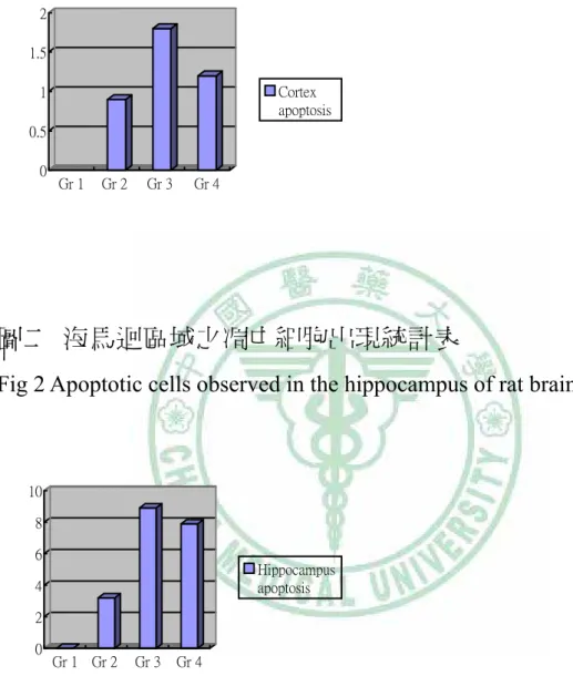 Fig 1 Apoptotic cells observed in the cortex of rat brain. 