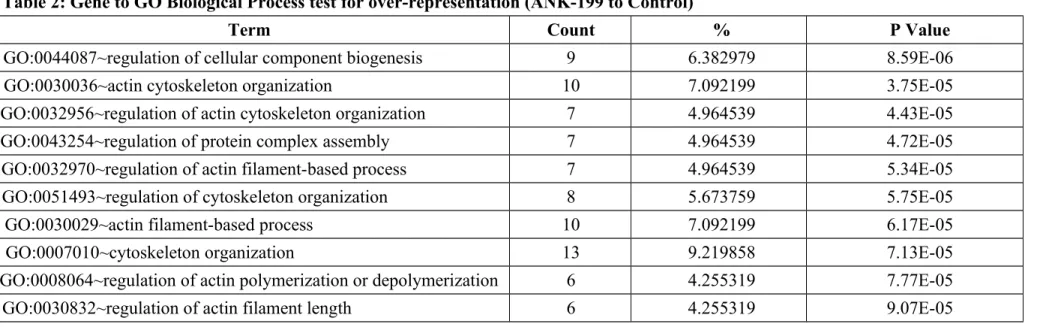 Table 2: Gene to GO Biological Process test for over-representation (ANK-199 to Control)