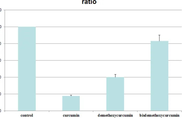 Figure 7. The inhibitory effects of curcumin, demethoxycurcumin and bisdemethoxycurcumin on balloon-injured common carotid arteries in rats