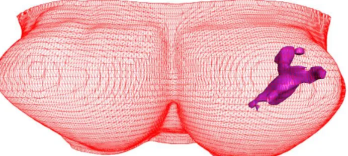 Fig. 3. The 3D surface generation of breast and fibroglandular tissues reconstructed by Avizo®  6.0 software to  show  coronal  view  (a,  the  front  view  from  anterior  to  posterior),  sagittal  view  (b,  the  side  view  from  lateral  to  medial), 