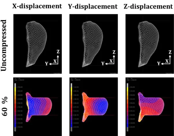 Figure 6 shows the deformations of the breast in the x-axis, y-axis, and z-axis directions at 60% compression ratios  in CC compression
