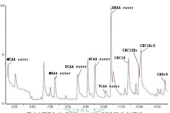 圖 4-6 THMs 及 HAAs ester 之 GC/MS 層析圖譜 