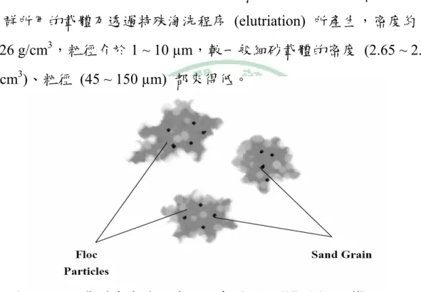 Figure 2-6.  載體嵌合作用機理示意圖 (modified from 蔡，2004) 