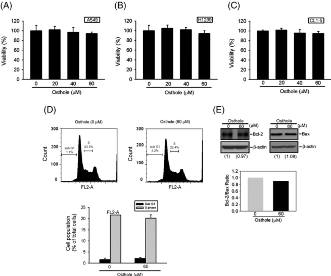 Fig. 3. Effects of osthole on the viability of A549 (A), H1299 (B), and CL1-5 (C) cells