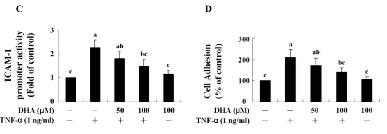 Figure 2. DHA decreases TNF- Į-induced ICAM-1 expression, promoter activity and HL-60 cell adhesion