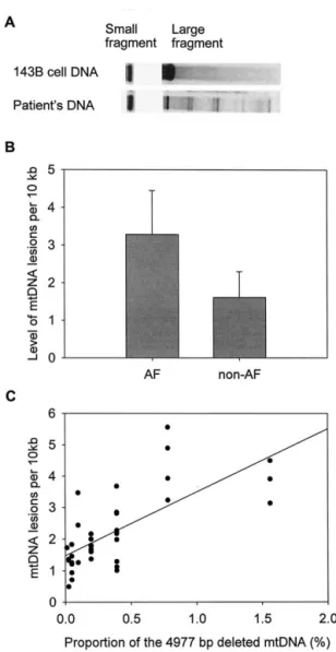 Fig. 2. Effect of atrial fibrillation (AF) on the accumulation of the 4977 bp deleted mitochondrial DNA (mtDNA)