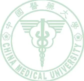 圖  目  錄 