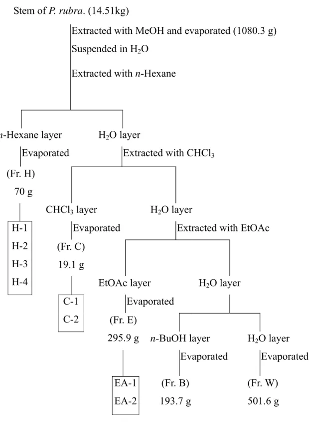 Figure 3-2    九節木(Psychotria rubra (Lour.) Poir.)莖部之抽提流程圖 