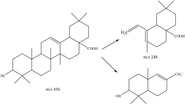 Figure 5-2  oleanolic acid 之質譜(MS)斷裂方式 