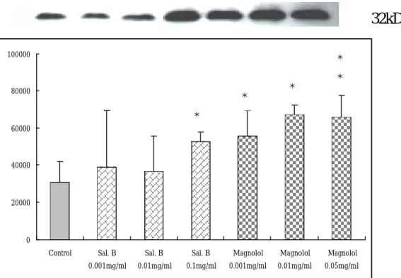 圖 9. Salvianolic acid B 及 Magnolol對平滑肌細胞 Caspase-3 表達程度 的影響。所有平滑肌細胞都培養在含 15％血清的 DMEM 中，給藥組 加 入 0.001mg/ml, 0.01mg/ml, 0.1mg/ml Salvianolic acid B 及 0.001mg/ml, 0.01mg/ml, 0.05mg/ml Magnolol，藥物作用時間 24 小時。