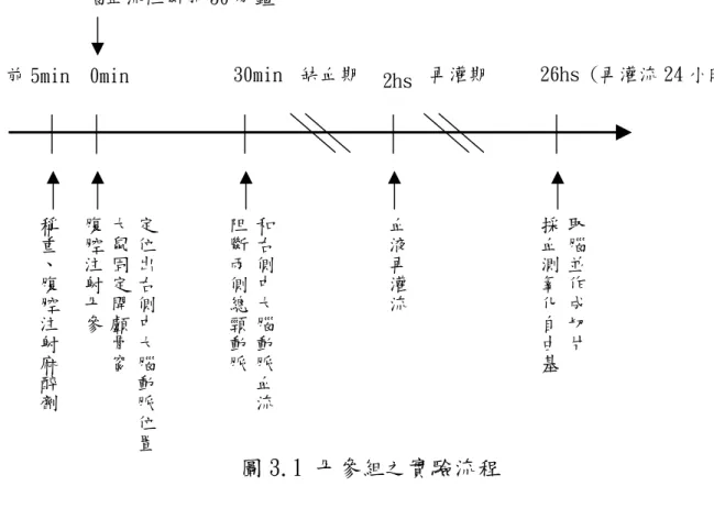 圖 3.1 丹參組之實驗流程  取腦並作成切片採血測氧化自由基定位出右側中大腦動脈位置大鼠固定開顱骨窗腹腔注射丹參稱重、腹腔注射麻醉劑和右側中大腦動脈血流阻斷兩側總頸動脈血液再灌流腦血流阻斷前 30 分鐘                  30min2hs 26hs (再灌流 24 小時) 前 5min  0min缺血期       再灌期