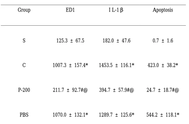 表 4.1 槐 花 (SJ) 對 大 鼠 腦 缺 血 - 再 灌 流 損 傷 引 發 腦 梗 塞 區 ED1 、 interleukin-1β染色陽細胞和 apoptosis 細胞的效用。 