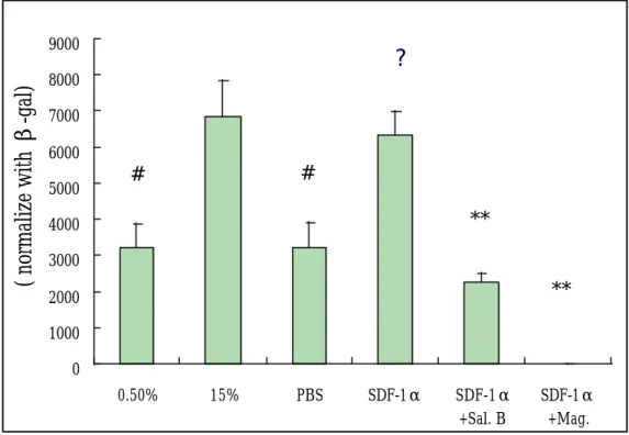 圖 27 、 Salvianolic acid B 和  magnolol 對 由 SDF-1a 刺 激 NF-?B promoter 活性之影響。 ☆#0 **1000200030004000500060007000800090000.50%15% PBS SDF-1α SDF-1α+Sal
