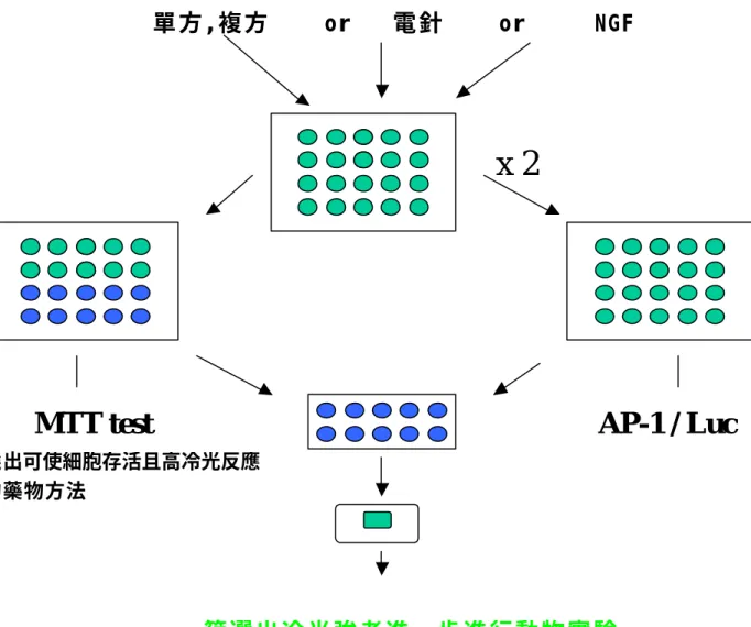 圖 6.2 未來實驗步驟 