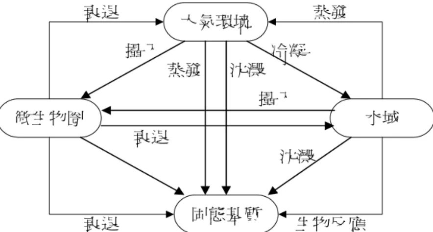 圖 2-1 金屬元素於環境中之傳輸循環圖（Mulholland and Sarofim,1991） (28)大氣環境固態基質微生物圈水域衰退衰退蒸發蒸發攝入攝入沈澱沈澱衰退生物反應冷凝