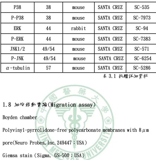 表 3.1 抗體詳細資料 