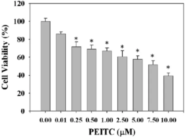 Figure 2. Effect of PEITC on migration and invasion of HT29 cells. HT29 cells were treated with various concentrations (0, 0.01, and 0.25 μM) of PEITC for 24 and 48 h