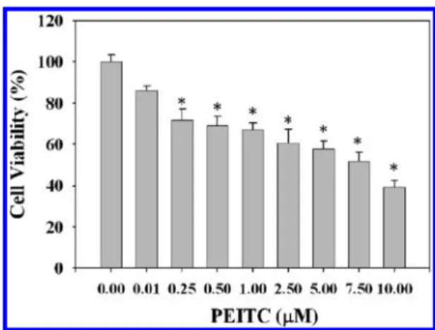 Figure 2. Effect of PEITC on migration and invasion of HT29 cells. HT29 cells were treated with various concentrations (0, 0.01, and 0.25 μM) of PEITC for 24 and 48 h