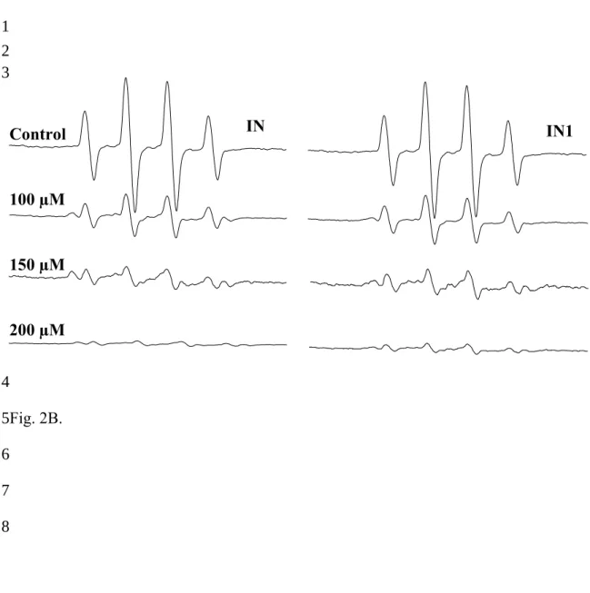 Fig. 2B. Control100 µM150 µM200 µM IN IN112345 6 7 8