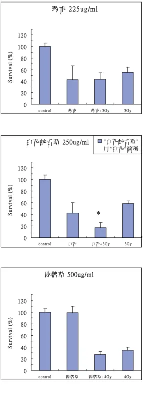 圖 4.14 中草藥對 MDA-MB-231 乳癌細胞的輻射增敏作用(細胞群落法)  * p<0.05  與輻射組相比較 敗醬草 500ug/ml020406080100120c ontr ol敗 醬 草敗 醬 草 + 4G y 4GySurvival (%)莪朮 225ug/ml020406080100120c ontr ol莪 朮莪 朮 + 3G y3GySurvival (%) 莪朮 500ug/ml020406080100120co n t r o l莪 朮 莪 朮 +3 Gy 3 GySur