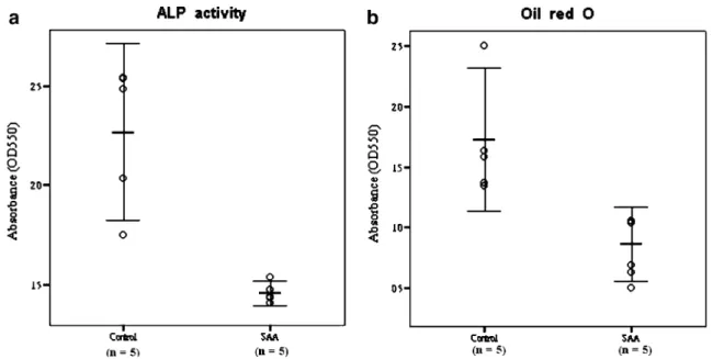 Fig. 4 Comparison of osteogenic and adipogenic potential by quantification of ALP activity (a) and Oil red O (b) stain spectrophotometrically, respectively