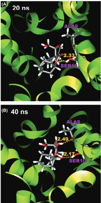 Figure 9:  Conformation of genipin_1-M2 complex at (A) 20 ns and (B) 40 ns. Protein residues, Ala9  (chain A) and Ser10 (chain A), are labeled in purple