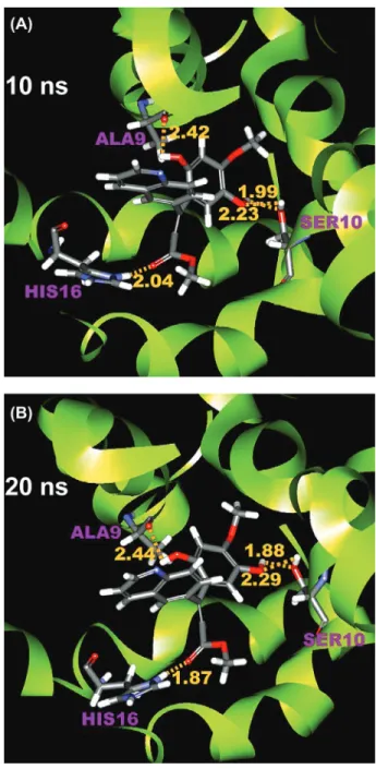 Figure 8:  Conformation of methyl isoferulate_1-M2 complex at (A) 10 ns and (B) 20 ns